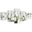 Tulipes blanches sans fin-322959467