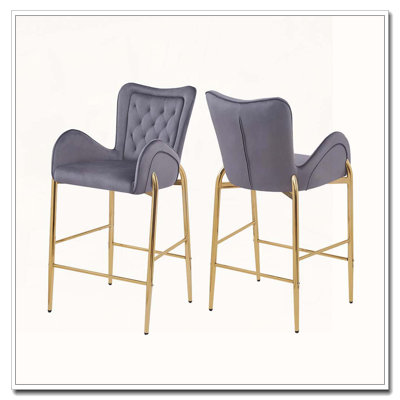Counter Height Bar Stools by Everly Quinn