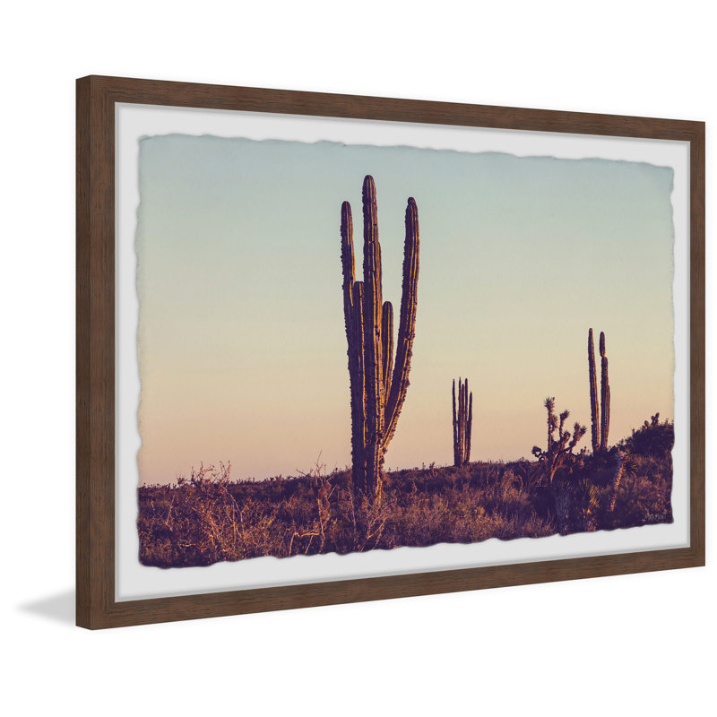 Cactus Sunrise - Single Picture Frame Print, 38cm H x 45cm W x 3.81cm D