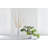 Amorphous Planter