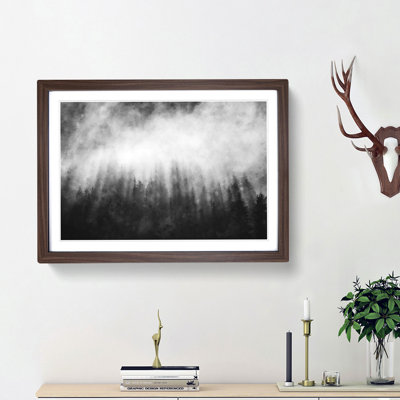 Moody Forest in Misurina Italy - Picture Frame Painting Print