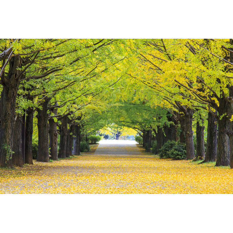 Sawna jaune couleur d'automne par Nicholashan, H 8 po x l 12 po x P 1,25 po