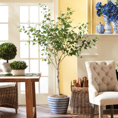 LeeRoy 6' Faux Birch Tree in Pot