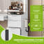 11-drawer Dressing Table With Mirror
