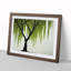 Irresistible Weeping Willow Tree - Framed Print-892732979-892732983