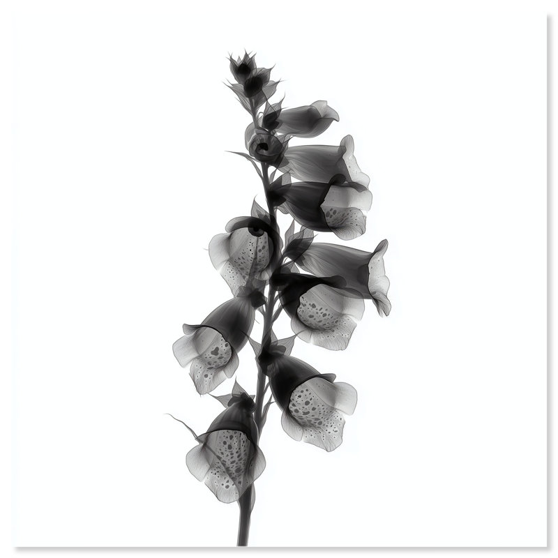 Ossified Petals II Print by Oliver Gal, 12"H x 12"W, High-Gloss Acrylic Print
