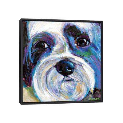 " Shih Tzu " by Robert Phelps Painting Print
