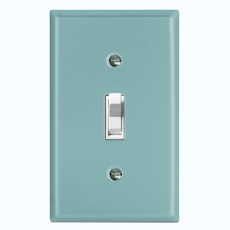 No Subject 1 - Gang Toggle Light Switch Standard Wall Plate, Mint Green