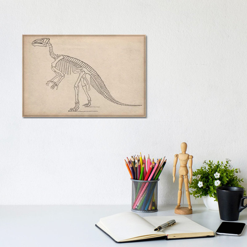 Iguanodon Skeleton Anatomy - Wrapped Canvas Print, 20.32 cm H x 30.48 cm W