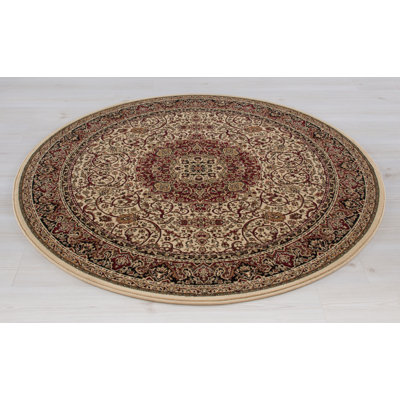 Izaiah Oriental Indoor Rug