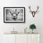 Wonderful Giraffe - Framed Print-56739751-56739753