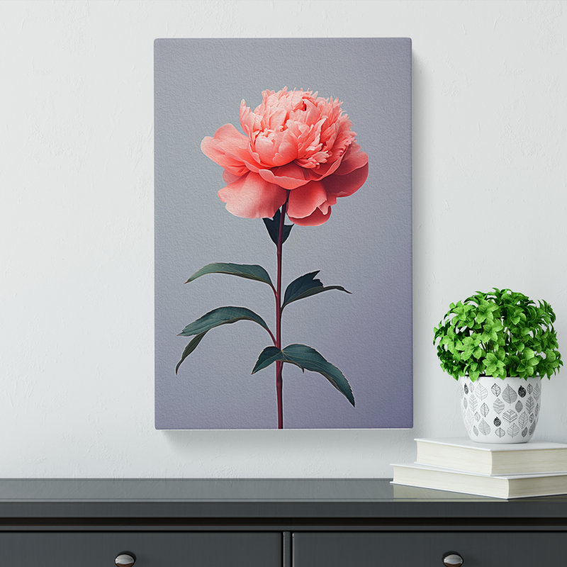 Peony Flower Minimalism - Wrapped Canvas Print, 50cm H x 35cm W x 3cm D