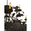 Rustic Lodge 12 - Light Chandelier