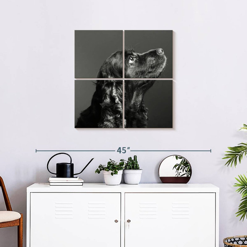 Brampt Shiny Black Dog