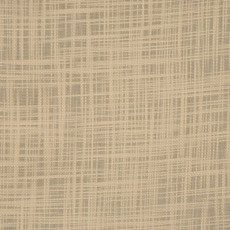 Transform Fabric, Parchment
