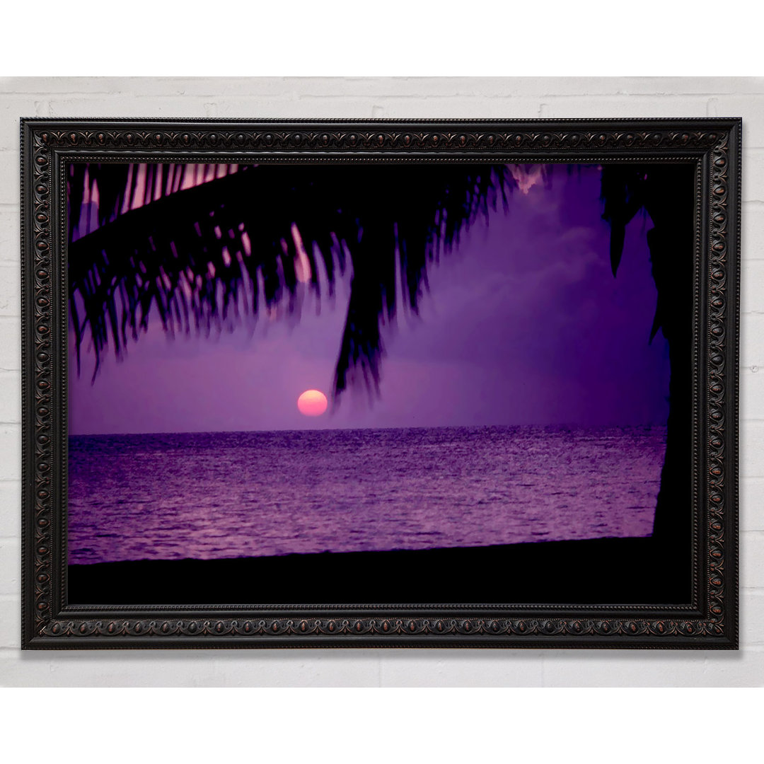 Sun Down Palm Purple - Einzelne Bilderrahmen Kunstdrucke