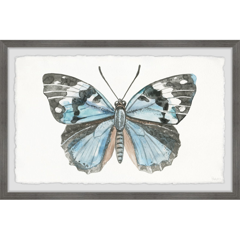 Wild Butterfly by Parvez Taj - Single Picture Frame Painting, 41cm H x 61cm W x 3.81cm D