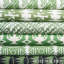 Tissu Schumacher x Drusus Tabor Ra