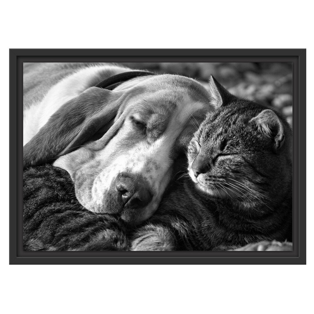 Gerahmtes Wandbild Katze und Hund kuschelnd Kunst B&W