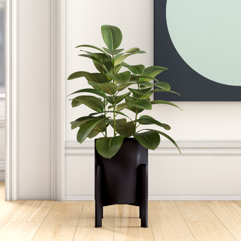 Pot à fleurs en plastique Dammion, Noir