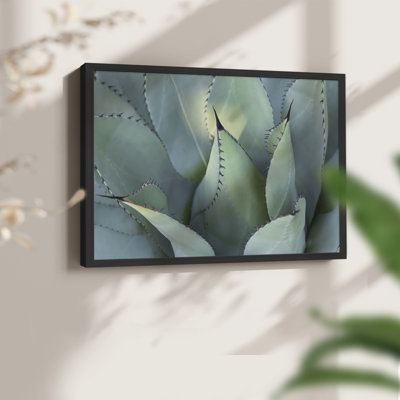 Blue Agave I -Framed Print - Restickable