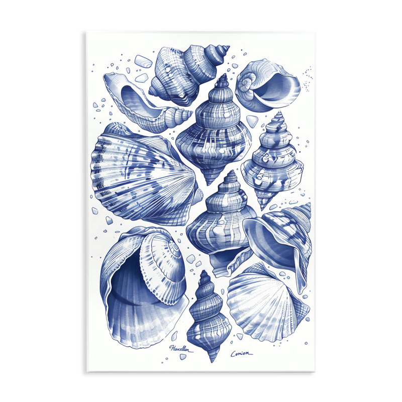 Plaque murale de la collection Aquatic Conch, design par LSR Design Studio, H 15 po x l 10 po