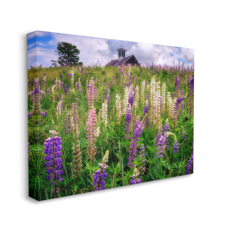 Champ de lavande sauvage par Sally Swatland - photographie, H 36 po x l 48 po x P 1,5 po, Toile tendue