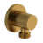 Brushed Gold is out of stock