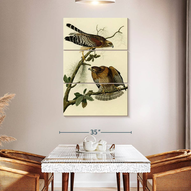 Ronce à faucon à épines d'oiseaux d'Amérique, H 50 po x l 32 po