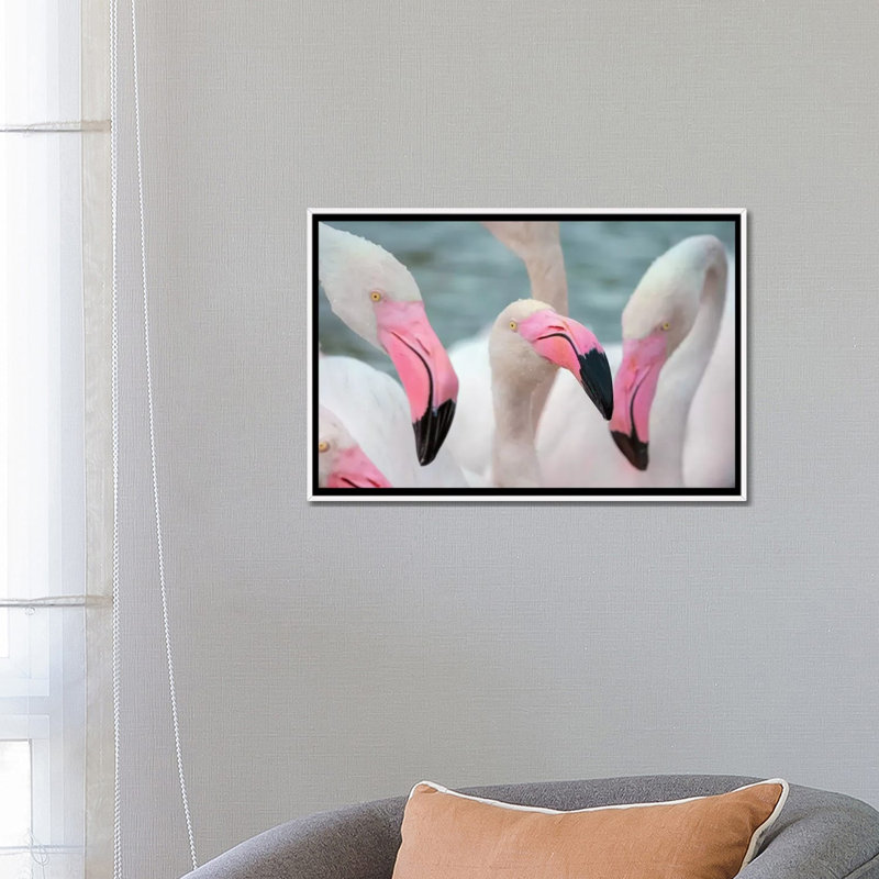 « Flamingos IV » par Ben Heine-reproduction de photo, H 18 po x l 26 po x P 1,5 po, Toile blanche encadrée, Pas de tapis