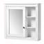 Armoire à pharmacie de salle de bain avec miroir