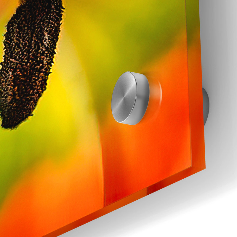 Épopée «Tulip Anthers» par Pamela Plummer, Acryli «Tulip Anthers» par Pamela Plummer