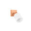 Kayl 1-Light 10cm Ceiling Spotlight