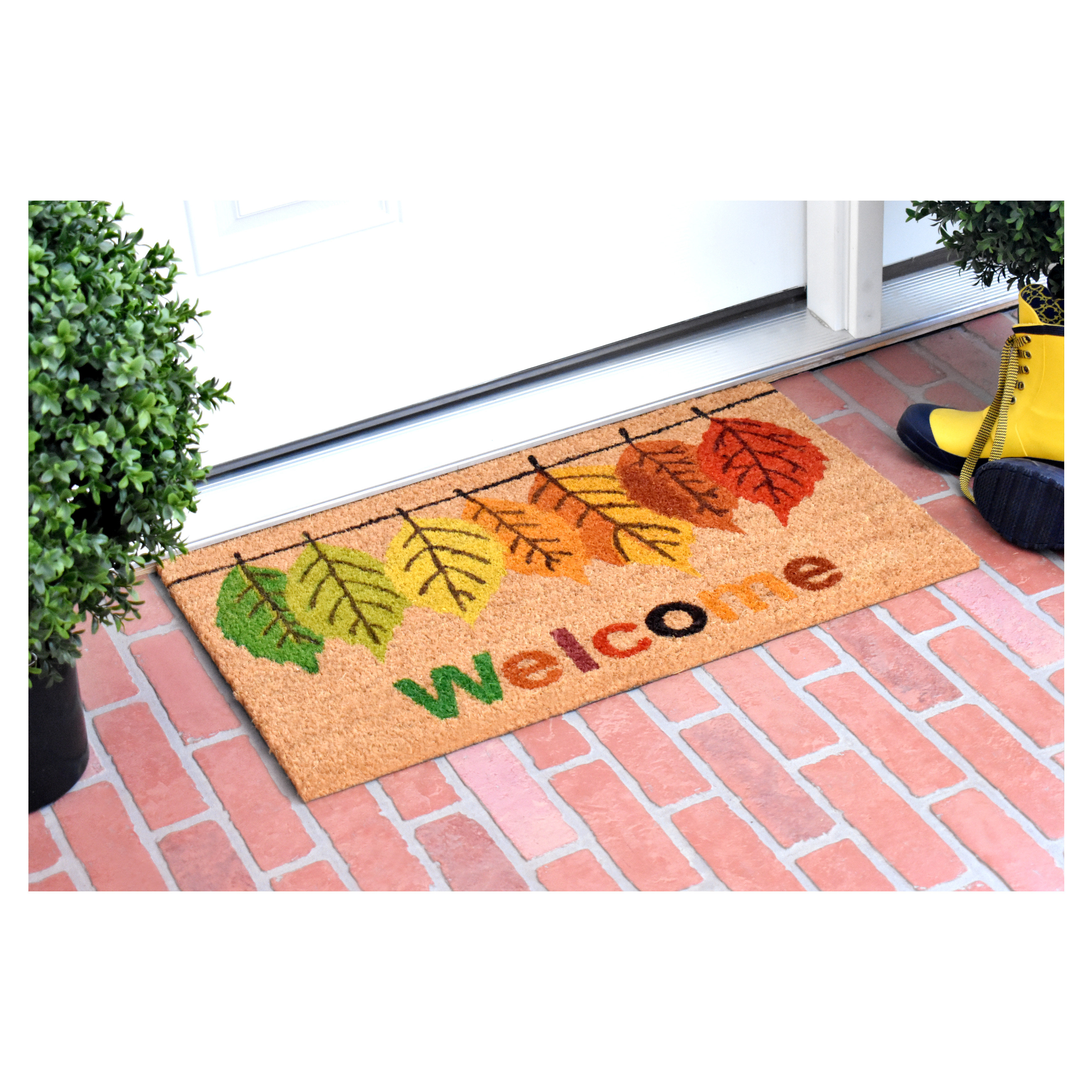 REINDEER FLY Indoor and Outdoor Doormat, Anti Slip Front Door Mat