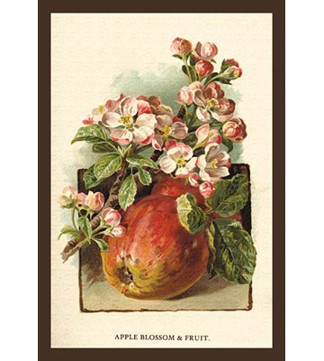 «Apple Blossom and Fruit» par W.H.J. Botte, reproduction de peinture