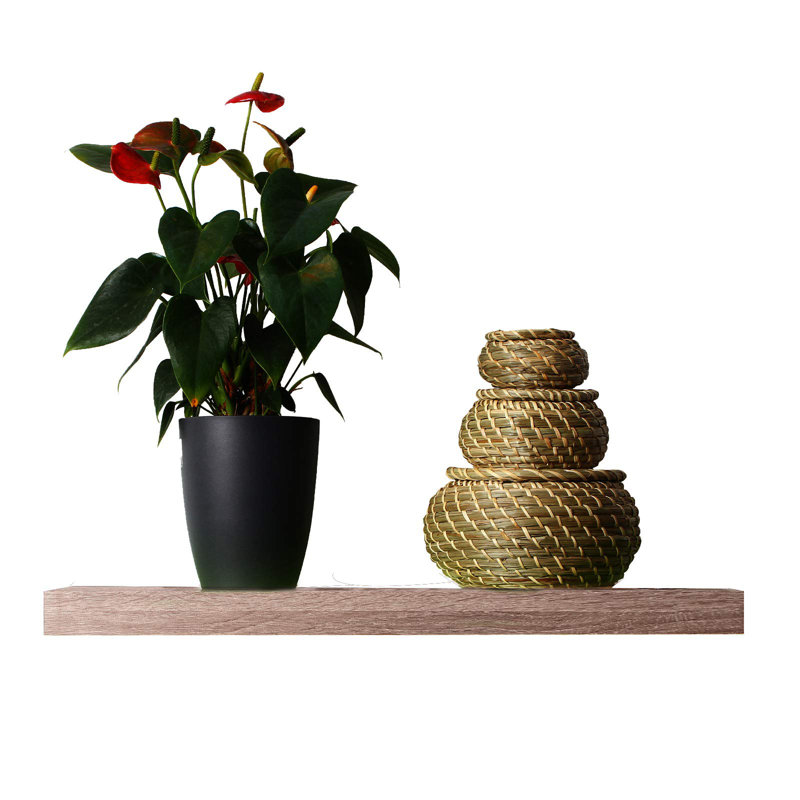 Gautham 4 Piece Floating Shelf, 3.8cm H x 60cm W x 22.9cm D, Yellow