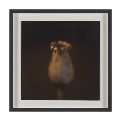 Collection par Stig Kalvelid, reproduction d'art encadrée à la main, emmêlée sous le verre