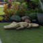 Statue de crocodile en béton de 42 po de long pour décoration de patio et de jardin