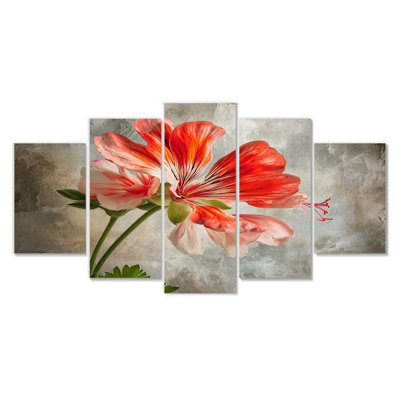 Close Up Of Red Geranium - Geraniums Wall Art Decor 5 Piece