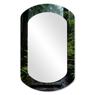 États-Unis Muir Woods National Monument I - Formes asymétriques américaines - Grand miroir mural traditionnel