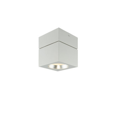 Flush Mount