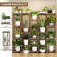 Support d'angle pour plantes d'intérieur