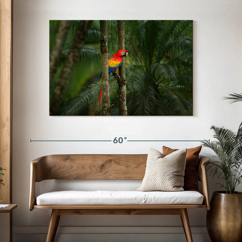 Brampt Wild Scarlet Macaw, 32" H x 48" W