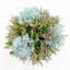 Topiaire hortensia sur pied 10 po