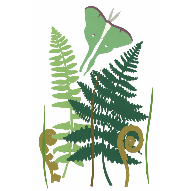 Fern Fantasy Garden I by Alicia Ludwig - Wrapped Canvas Painting, 46cm H x 30cm W