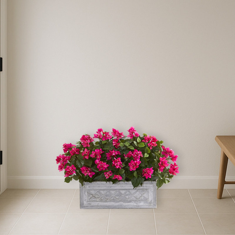 Pot à fleurs Bougainvillea