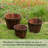 Eugenia Handmade Wood Barrel Planter-884268552