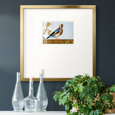 Golden Finch, reproduction d'art encadrée sur papier
