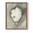Noyer