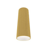 1 - Light Pendant